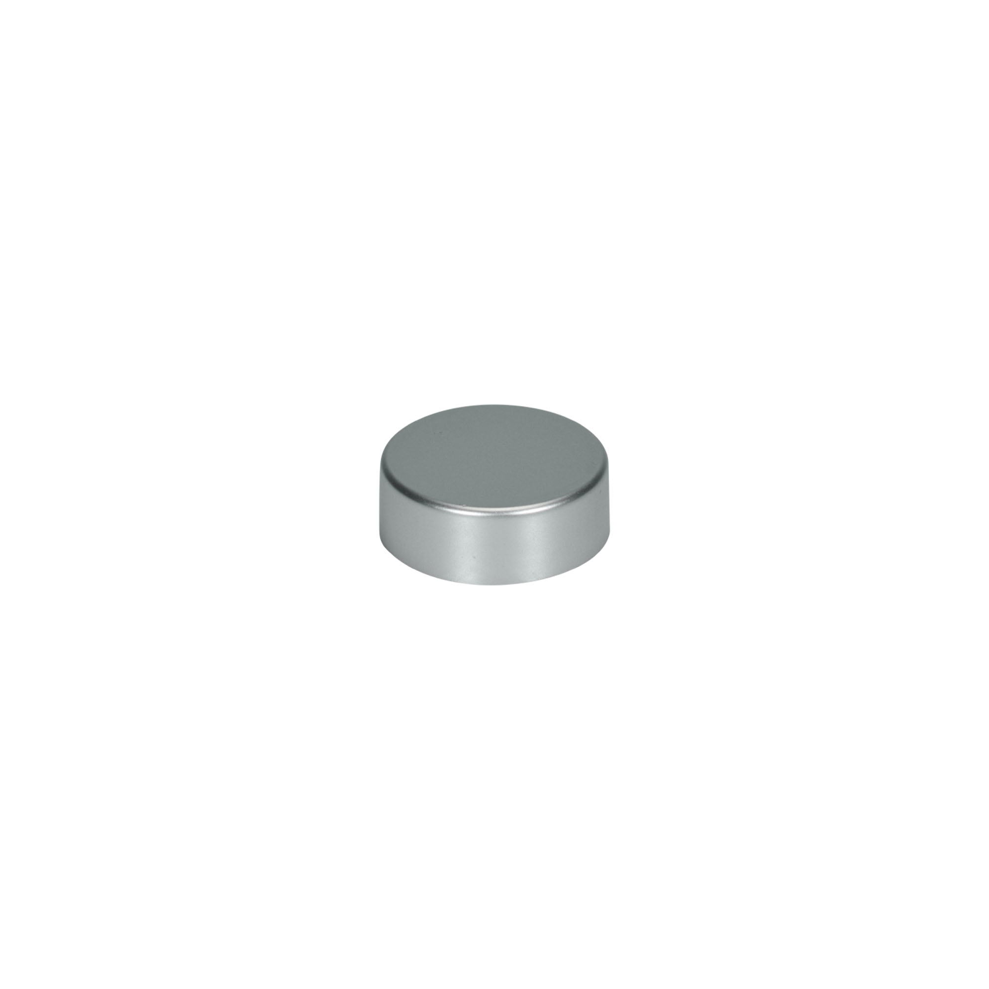 Bouchon à vis, plastique ABS, argent mat, pour ouverture : GPI 33/400 Bouchon à vis, plastique ABS, argent mat, pour ouverture : GPI 33/400
