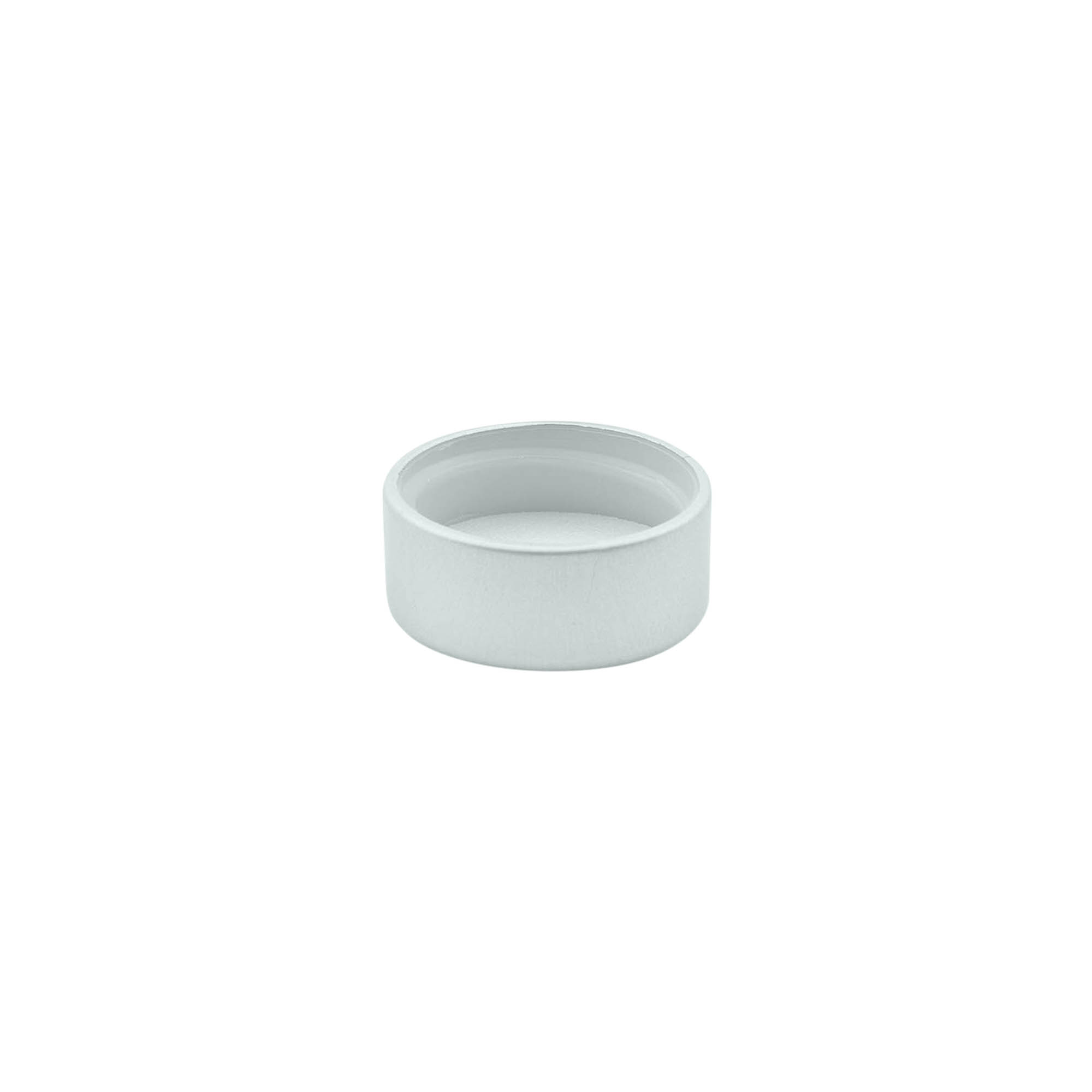 Bouchon à vis, plastique ABS, argenté, pour ouverture : GPI 22/400