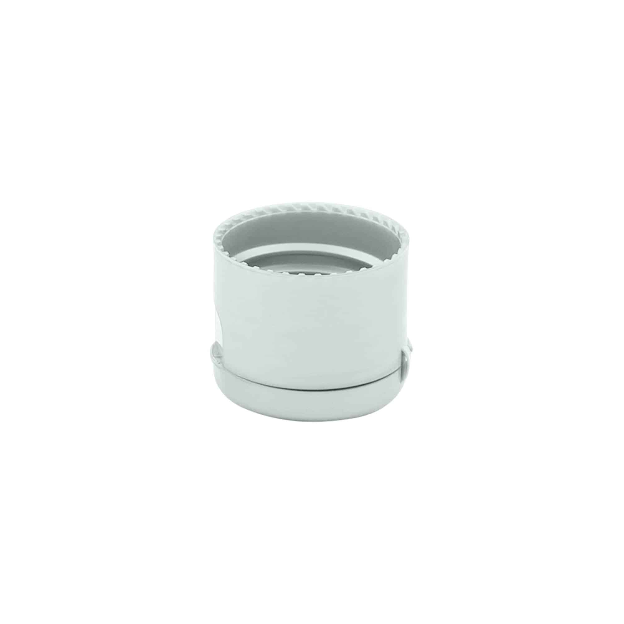 Bouchon à vis avec charnière à bascule, plastique PP, argent, pour ouverture : 24/410 Bouchon à vis avec charnière à bascule, plastique PP, argent, pour ouverture : 24/410