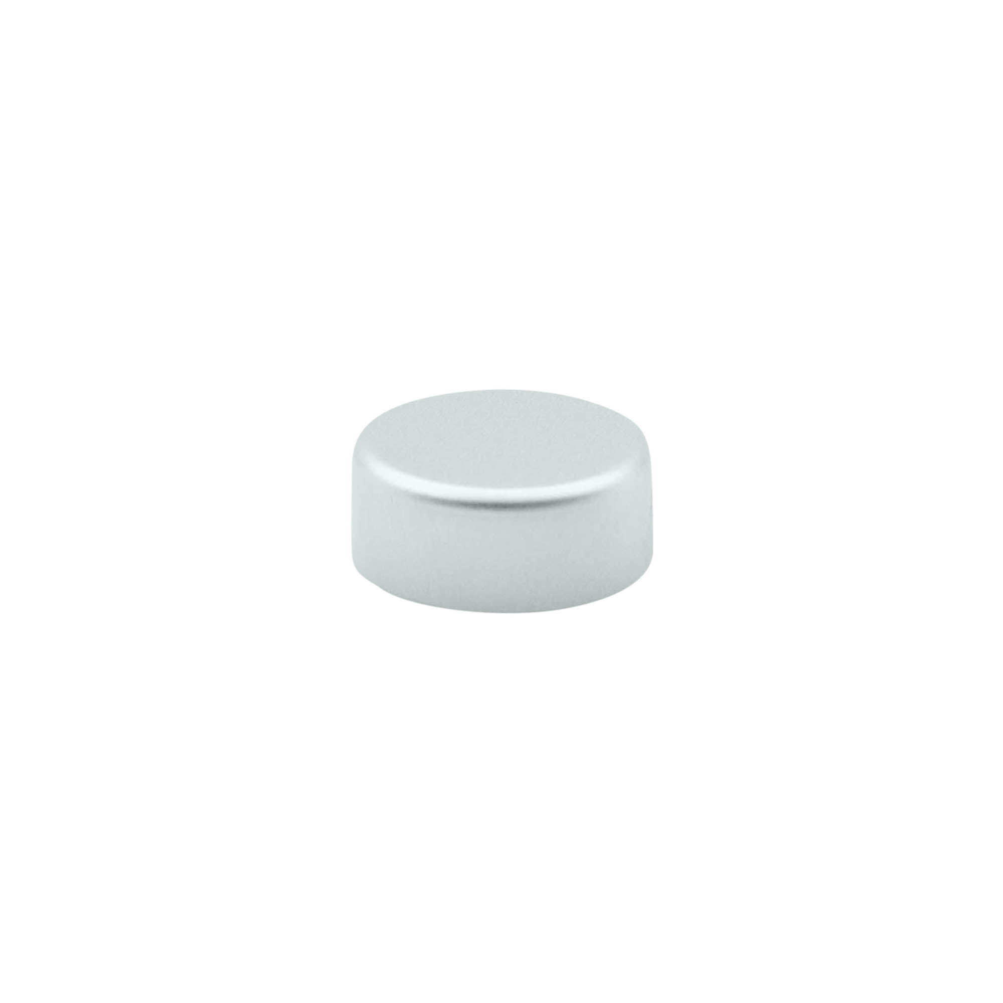 Bouchon à vis, plastique ABS, argenté, pour ouverture : GPI 22/400