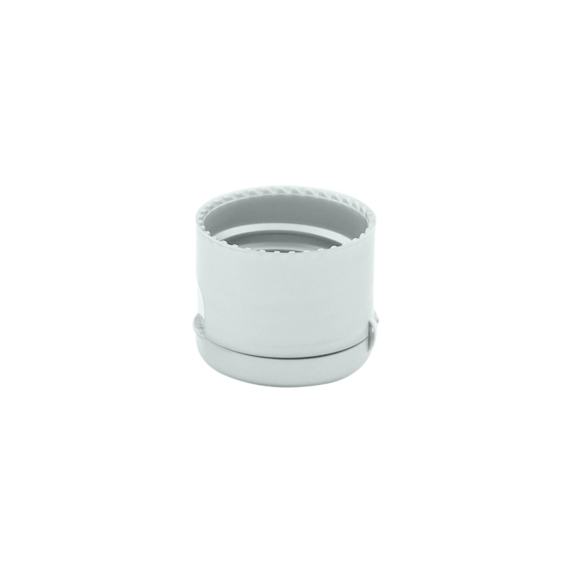 Bouchon à vis avec charnière à bascule, plastique PP, argent, pour ouverture : 24/410