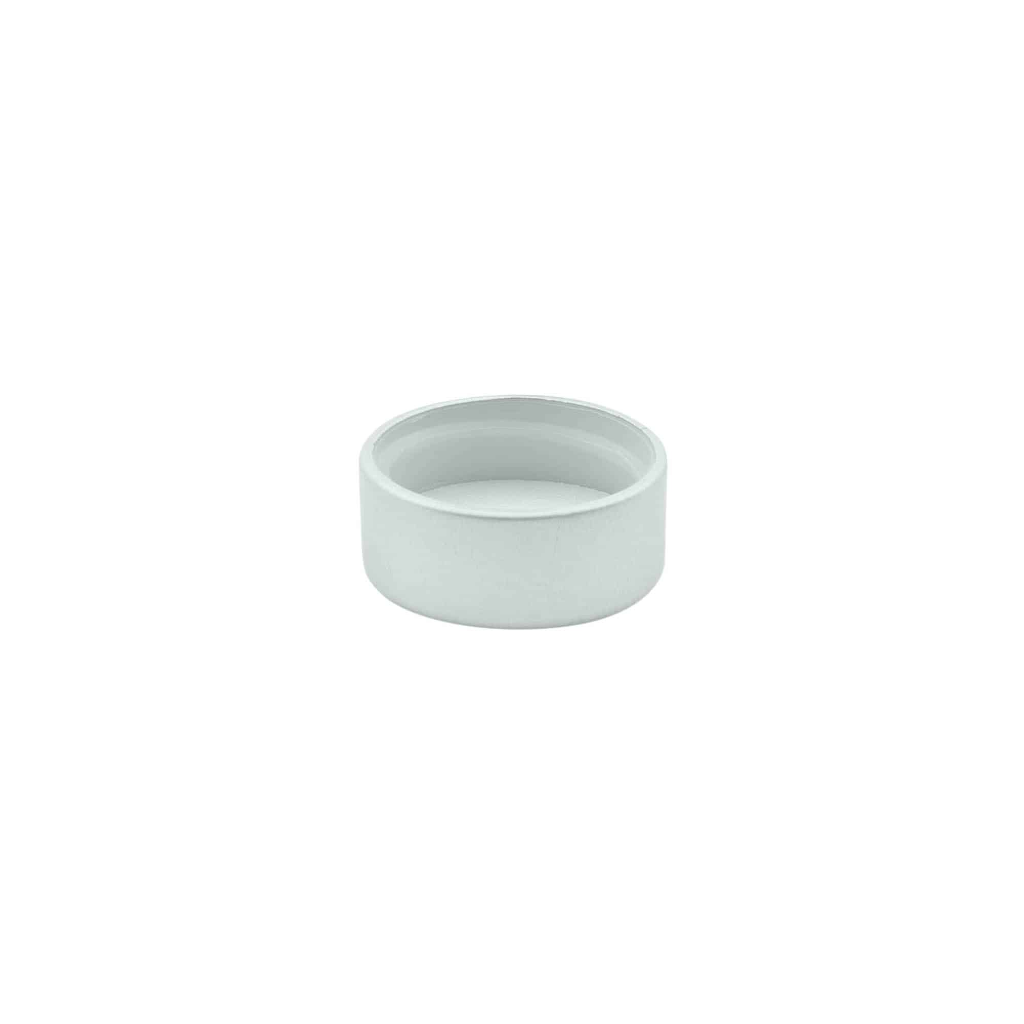 Bouchon à vis, plastique ABS, argenté, pour ouverture : GPI 22/400